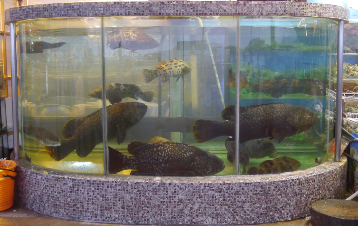 Sai-Kung