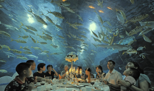 China Restaurant