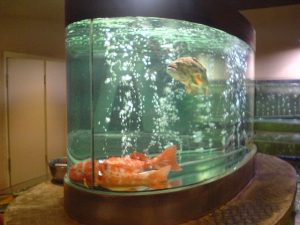 Chinese Restaurant in Singapore