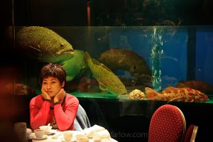 Global Fisheries Guangzhou